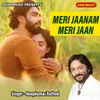 About Meri Jaanam Meri Jaan Song